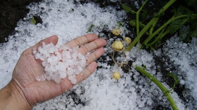 Viral Pamulang Tangsel Diterjang Hujan Es Hingga Angin Kencang, Netizen: di Taman Tekno se-Kelereng