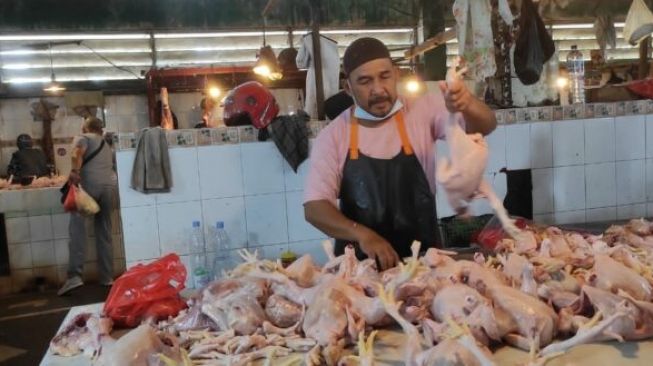 Tak Ada Penjualan dan Permintaan Berlebih untuk Komoditi Ayam Potong di Balikpapan