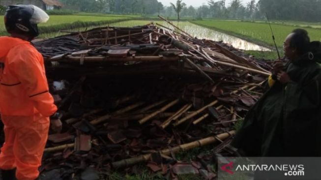 Angin Kencang Melanda Lima Kecamatan di Jember, Dua Keluarga Mengungsi