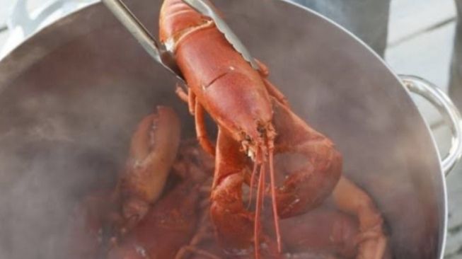 Kreasi Unik Bakso Isi Lobster dan Kepiting di Kota Kendari