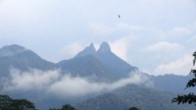 Mengenal Gunung Daik Bercabang Tiga, Destinasi Termasyur dari Lingga