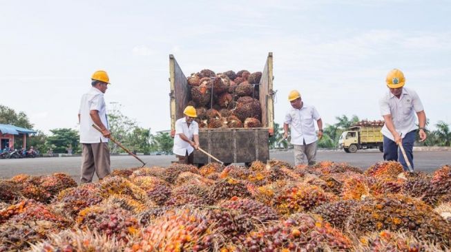 Laba Holding Perkebunan PTPN III Melesat Jadi Rp 3,37 Triliun di 2021