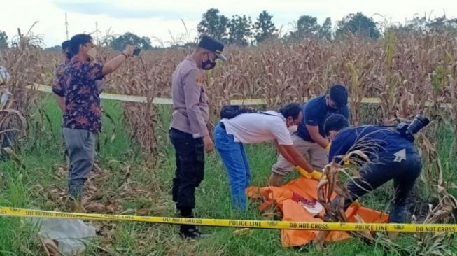 Warga Lampung Tengah Geger, Tengkorak Manusia Ditemukan di Kebun Jagung