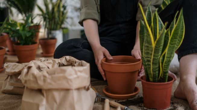 9 Manfaat Hobi Berkebun, Baik bagi Kesehatan Fisik dan Mental!