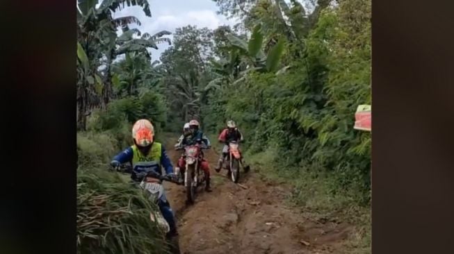 Pemotor trail dibikin auto minggir oleh bapak pengangkut rumput (TikTok)