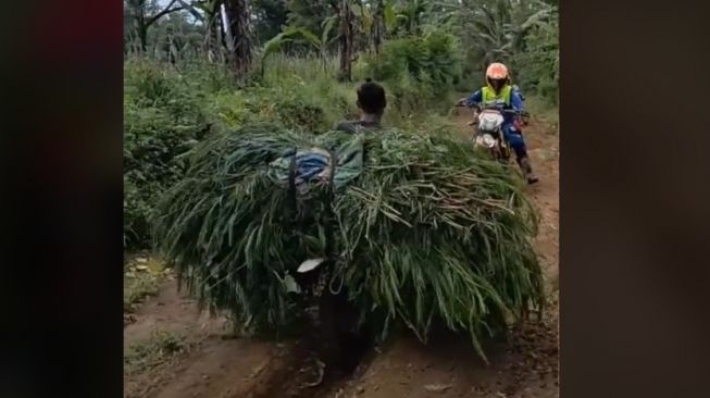 Kocak! Bapak Pengangkut Rumput Ini Bikin Pemotor Trail Auto Minggir