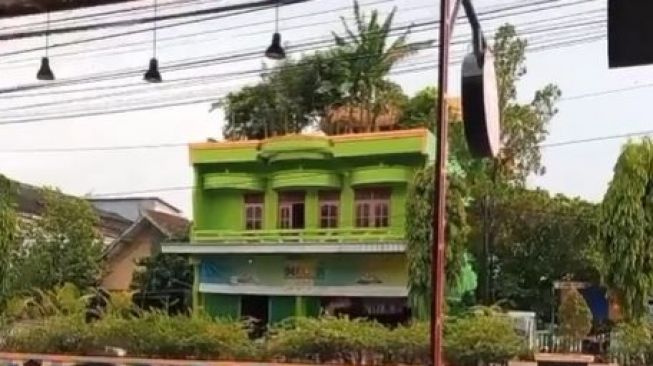 Viral Pohon Pisang Ditanam di Genteng, Publik: Biar Aman dari Salam Binjai