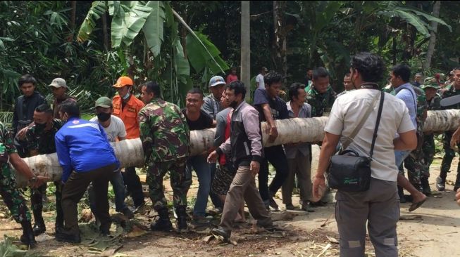 Viral Marinir Bangun Jembatan dari Pohon Kelapa, Publik: The Real Oknum