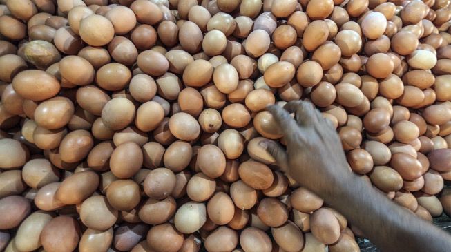 Harga Telur Ayam di Bengkulu Naik, Berkisar Harga Rp52 Ribu