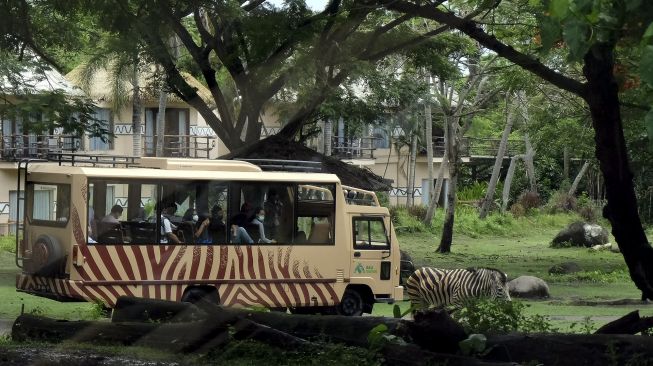 Wisatawan menaiki bus keliling saat mengunjungi objek wisata kebun binatang di Bali Safari and Marine Park, Gianyar, Bali, Rabu (29/12/2021). [ANTARA FOTO/Nyoman Hendra Wibowo]