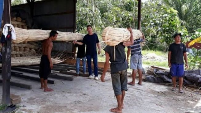 Penutupan Ekspor dan Penurunan Permintaan Dalam Negeri Buat Petani Rotan Sulit Bertahan