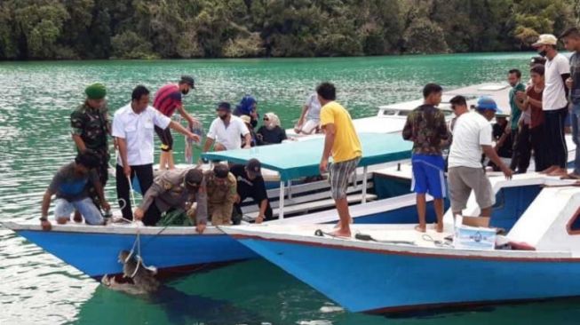 Warga Labuan Cermin Digegerkan dengan Kemunculan Buaya 4,7 Meter: Dibuatkan Kandang