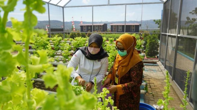 Semen Gresik Raih Apresiasi Proper Hijau dari Kementerikan Lingkungan Hidup dan Kehutanan