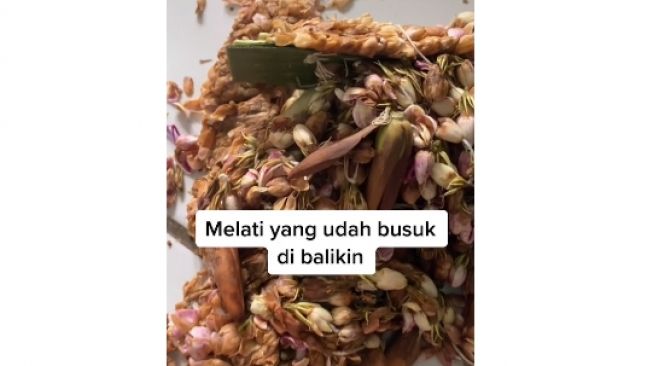 Pengantin kembalikan barang milik MUA (tiktok)