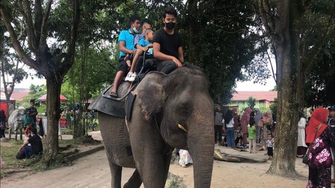 Sekolah Libur, Kebun Binatang Kasang Kulim Mulai Padat Pengunjung