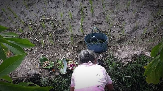 Menjaga Keselarasan Alam dengan Tradisi Mblowoki