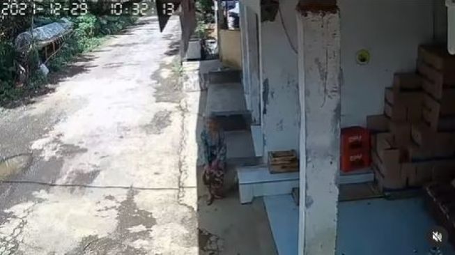 Viral Video Nenek Sudah Renta Dijambret sampai Dibanting, Warganet Ngamuk