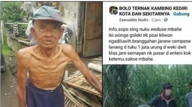 Viral Kisah Kakek di Kediri Jadi Korban Penipuan, Kambing Dibawa Kabur Tak Dibayar