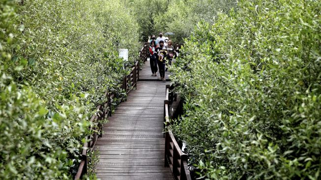 Warga melintasi jembatan ketika berwisata di Ekowisata Mangrove Gunung Anyar, Surabaya, Jawa Timur. Sabtu (1/1/2022). [ANTARA FOTO/Rizal Hanafi]