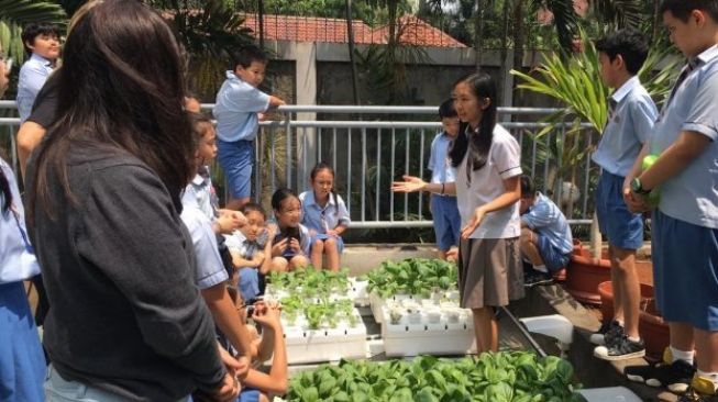 Kembangkan Sistem Tanam Sayur Sederhana, Kontribusi Bagi Lingkungan dan Bangsa