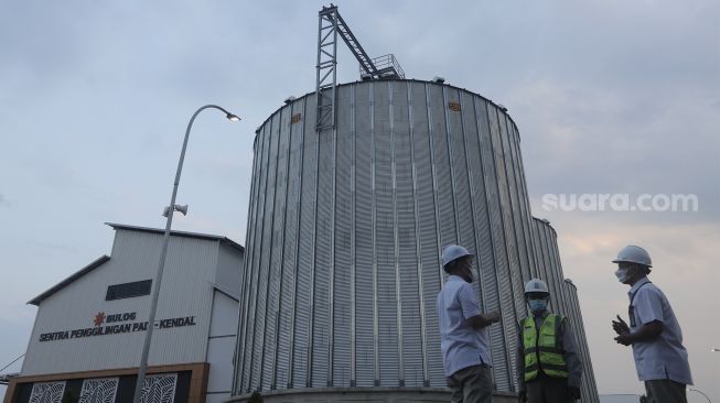 Pegawai Perusahaan Umum Badan Urusan Logistik (Perum Bulog) meninjau pembangunan infrastruktur tahap akhir Modern Rice Milling Plant (MRMP) atau penggilingan padi/gabah modern di Kendal, Jawa Tengah, Rabu (5/1/2022). [Suara.com/Angga Budhiyanto]