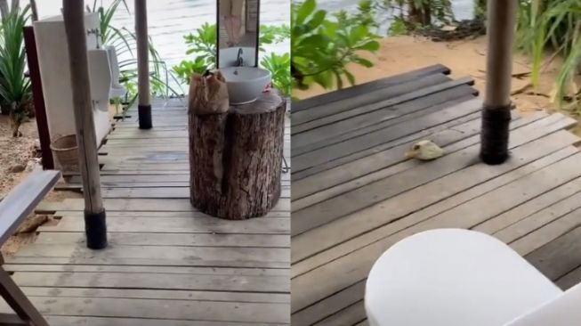 Bagikan Video Toilet Konsep Mewah Ala-Ala Miliknya di Pantai, Warganet Malah Was-Was