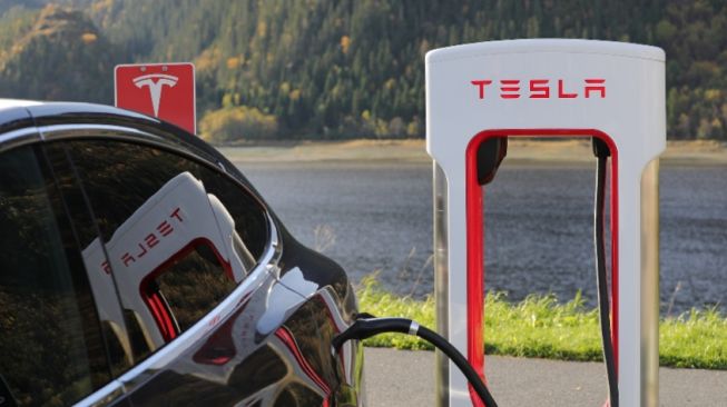 Produk mobil listrik Tesla dan chargernya. Sebagai ilustrasi (pixabay.com)