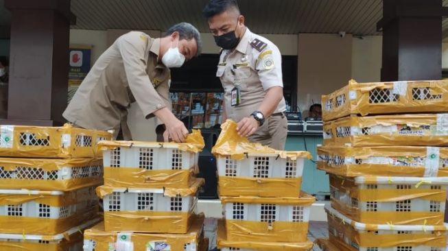 Balai Karantina Pertanian Pontianak Sita 250 Ekor Burung Berkicau