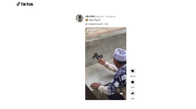 Foto kupu-kupu pakai ponsel jadul. [TikTok]