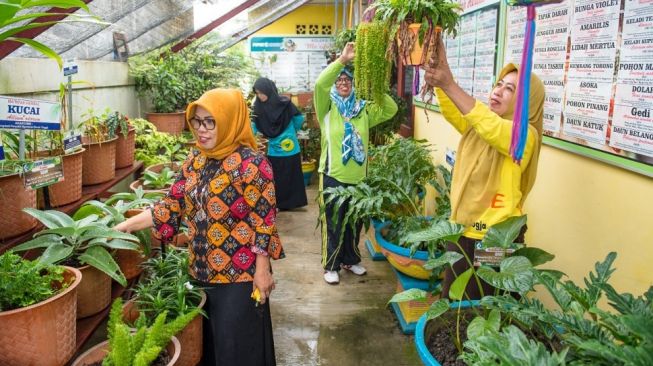 Budidaya Tanaman Herbal, Emak-emak Binaan Pupuk Kaltim Raup Omset Ratusan Juta