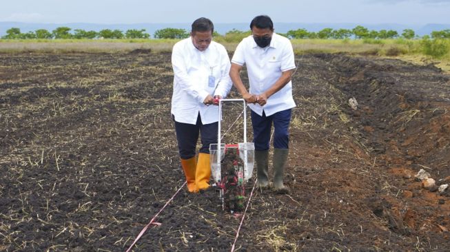 Moeldoko Sebut Sumba Berpotensi Besar Jadi Pulau Sorgum