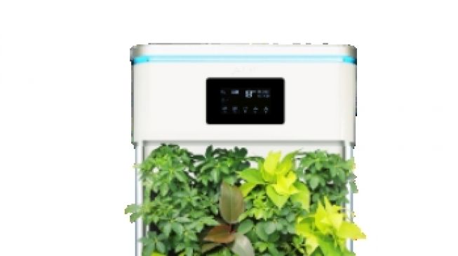 5 Masalah yang Terjadi pada Air Purifier, Kadang Bisa Muncul Bau Aneh