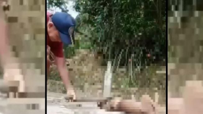 Pria Asal Kukar yang Menganiaya Anjing Hingga Mati Dilaporkan ke Polisi