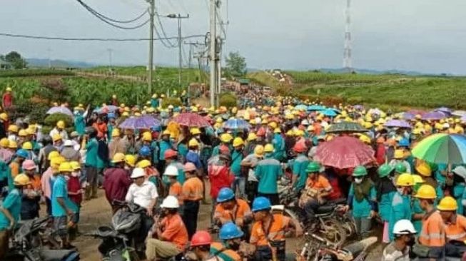 Protes, Ribuan Karyawan Perusahaan Sawit di Solok Selatan Mogok Kerja 3 Hari