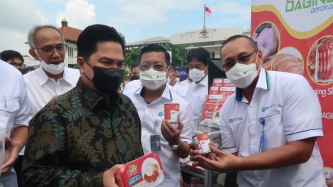 Pemerintah Resmi Luncurkan Holding BUMN Pangan ID FOOD, PT RNI Jadi Induk Usaha