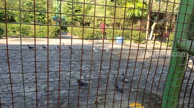 Penampakan taman burung seharga Rp3 miliar di Kelurahan Sei Mempura, Kecamatan Mempura, Kabupaten Siak terkini. [Suara.com/Alfat Handri]