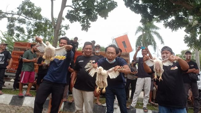 Harga Terus Naik, Broker di Lampung Setop Ambil Ayam Potong dari Peternak