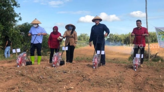 Direktur PT Berdikari United Livestock Irman Yasin Limpo Ingin Sidrap Jadi Pusat Pembibitan Sapi Indonesia