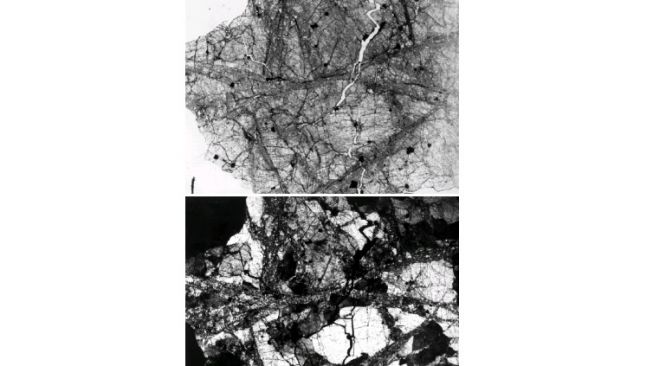 Meteorit Mars Allan Hills 84001 (ALH 84001). [NASA]