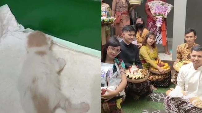 Viral Pria Bikin Prosesi Khusus Pemberian Nama Bayi Kucing (TikTok)