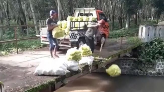 Viral Aksi Dua Pria Diduga Buang Hasil Panen ke Sungai, Tuai Perdebatan Warganet