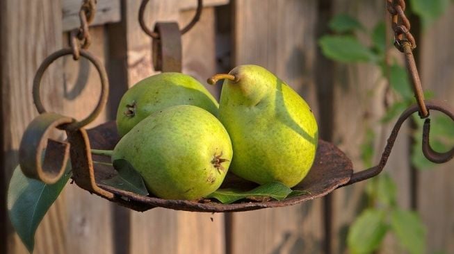 4 Manfaat Buah Pir Bagi Kesehatan yang Jarang Disadari, Bisa Cegah Kanker!