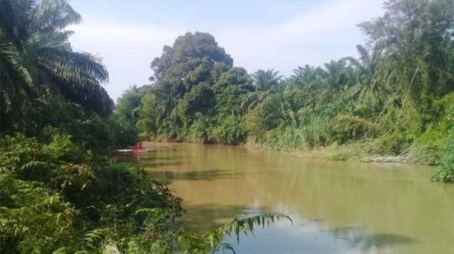 Kawasan Batang Masang di Kabupaten Agam habitatnya buaya muara. [Dok.Covesia.com]