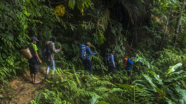 Pengunjung melintasi hutan saat menuju wisata puncak Tiranggang di Desa Hinas Kiri, Kabupaten Hulu Sungai Tengah, Kalimantan Selatan, Minggu (16/1/2022). [ANTARA FOTO/Bayu Pratama S]