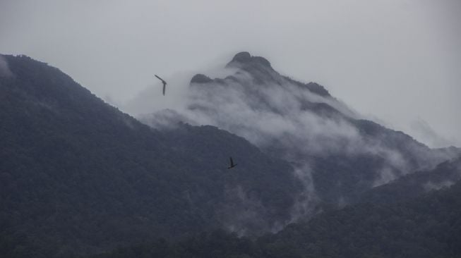 Pemandangan Puncak Halau-Halau Gunung tertinggi di Pegunungan Meratus terlihat dari wisata puncak Tiranggang di Desa Hinas Kiri, Kabupaten Hulu Sungai Tengah, Kalimantan Selatan, Minggu (16/1/2022). [ANTARA FOTO/Bayu Pratama S]