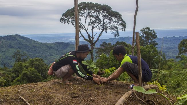 Masyarakat Dayak Meratus menanam bibit kopi jenis arabika di kawasan Pegunungan Meratus, Desa Hinas Kiri, Kabupaten Hulu Sungai Tengah, Kalimantan Selatan, Minggu (16/1/2022).  [ANTARA FOTO/Bayu Pratama S]