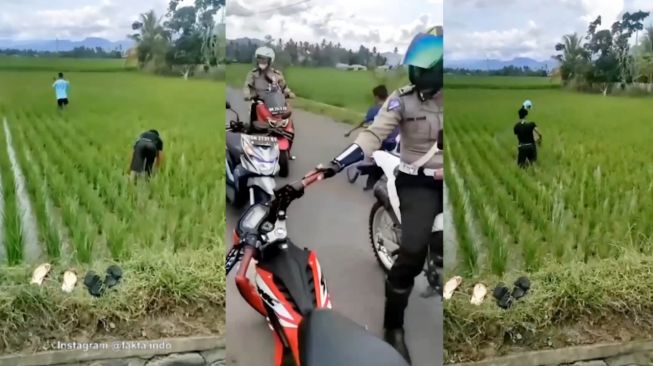 Kocak! Biar Lolos Ditilang, 2 Pemuda Ini Turun ke Sawah Cabut Rumput