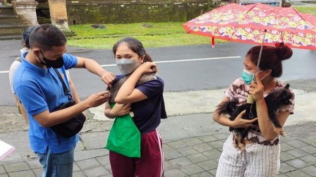 3 Desa di Gianyar Bali Jadi Sasaran Vaksinasi Rabies