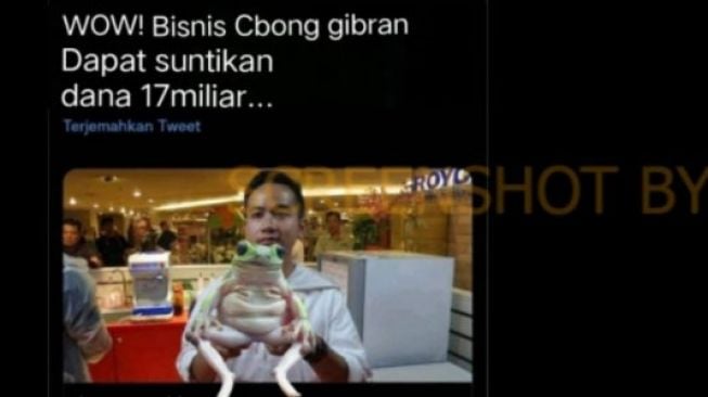 CEK FAKTA: Bisnis Gibran Rakabuming Raka Dapat Suntikan Dana Rp 17 Miliar, Benarkah?