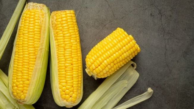 Cara Aplikasi Pupuk untuk Jagung Biar Buahnya Besar, Begini Langkah Tepat yang Wajib Dilakukan